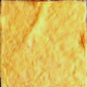 1547005999256774.jpg