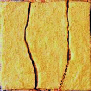 1547006029587719.jpg